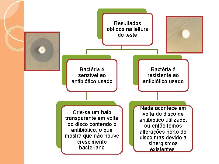 Resultados obtidos na leitura do teste Bactéria é sensível ao antibiótico usado Bactéria é