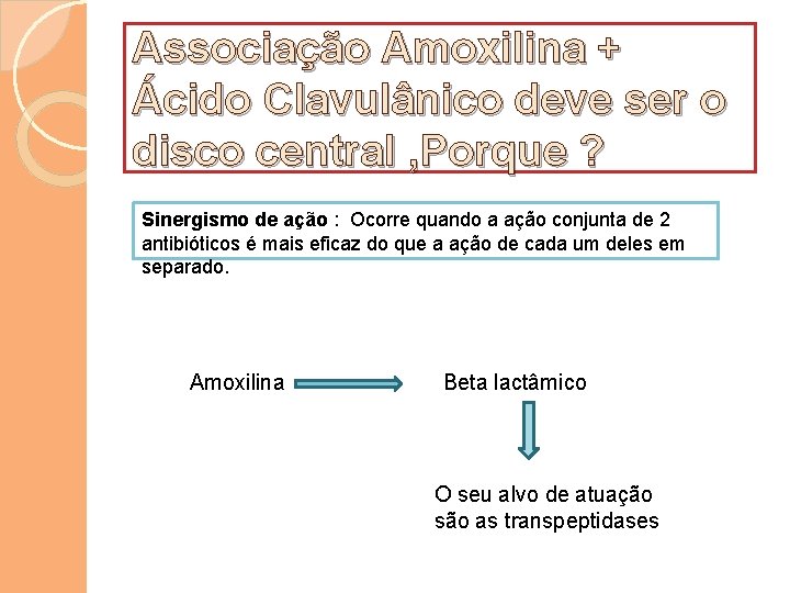 Associação Amoxilina + Ácido Clavulânico deve ser o disco central , Porque ? Sinergismo