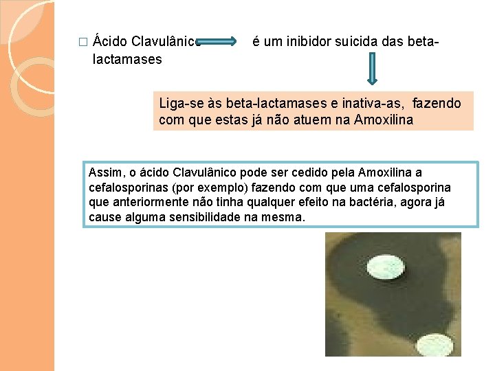 � Ácido Clavulânico lactamases é um inibidor suicida das beta- Liga-se às beta-lactamases e