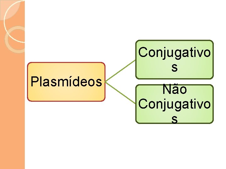 Plasmídeos Conjugativo s Não Conjugativo s 