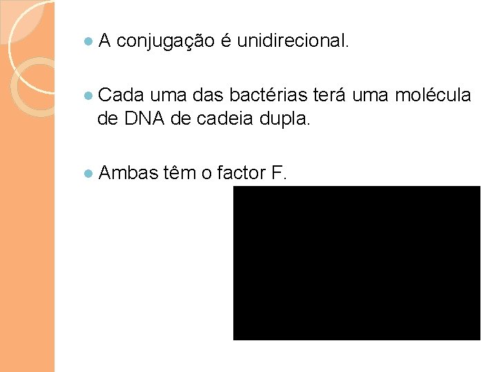 ● A conjugação é unidirecional. ● Cada uma das bactérias terá uma molécula de