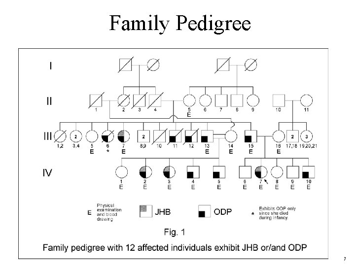 Family Pedigree 7 