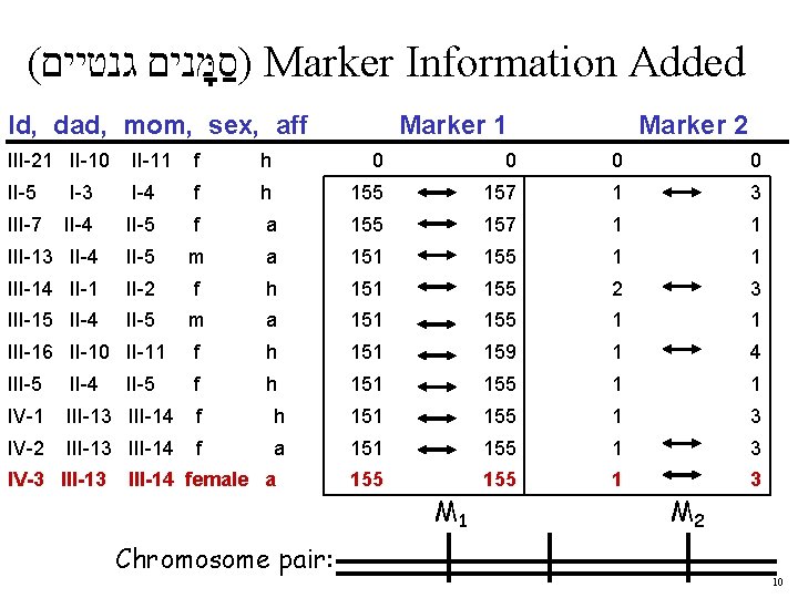 . ) Marker Information Added ( סמנים גנטיים Id, dad, mom, sex, aff Marker