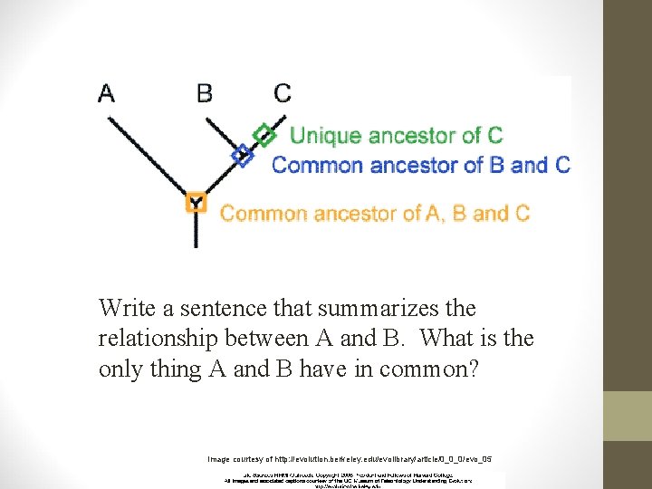 Write a sentence that summarizes the relationship between A and B. What is the