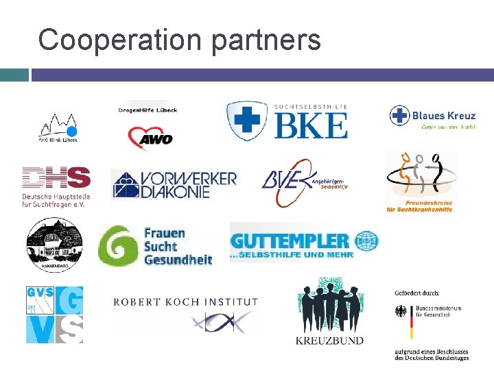 Cooperation partners 