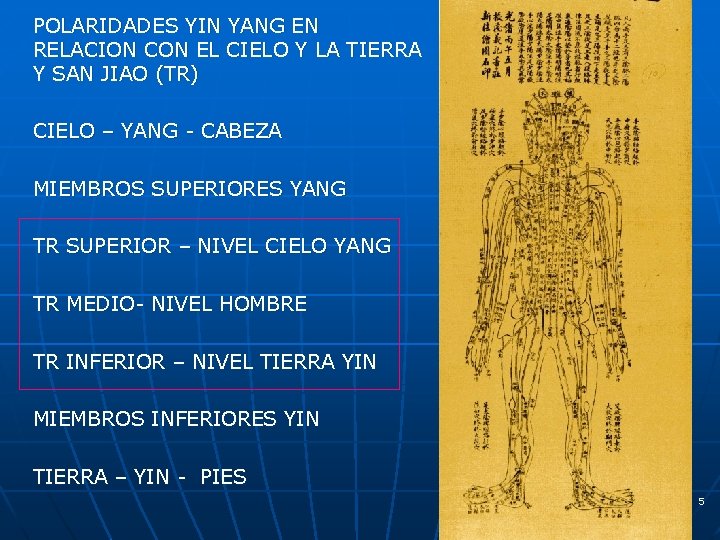 POLARIDADES YIN YANG EN RELACION CON EL CIELO Y LA TIERRA Y SAN JIAO