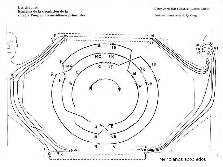 Meridianos acoplados 9 