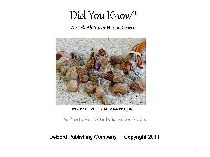 Did You Know? A Book All About Hermit Crabs! http: //www. treknature. com/gallery/photo 146283.