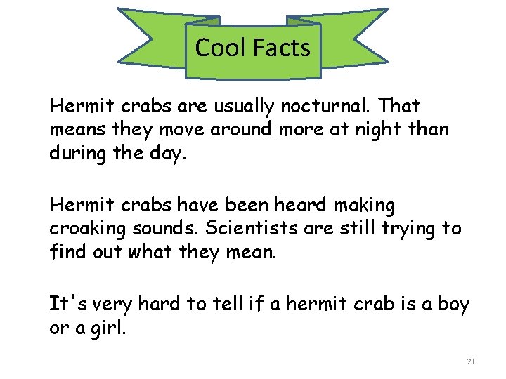 Cool Facts Hermit crabs are usually nocturnal. That means they move around more at