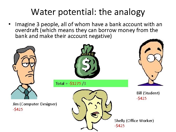 Water potential: the analogy • Imagine 3 people, all of whom have a bank