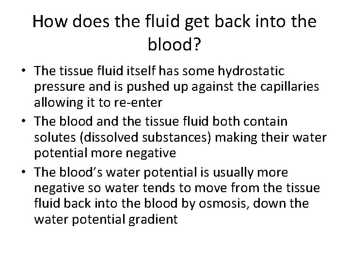 How does the fluid get back into the blood? • The tissue fluid itself