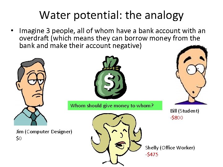 Water potential: the analogy • Imagine 3 people, all of whom have a bank