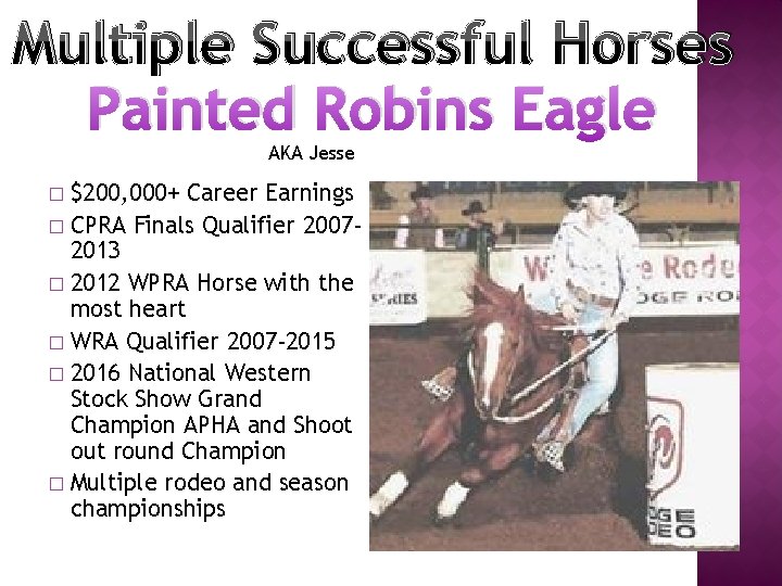 Multiple Successful Horses Painted Robins Eagle AKA Jesse $200, 000+ Career Earnings � CPRA