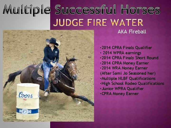 Multiple Successful Horses AKA Fireball • 2014 CPRA Finals Qualifier • 2014 WPRA earnings