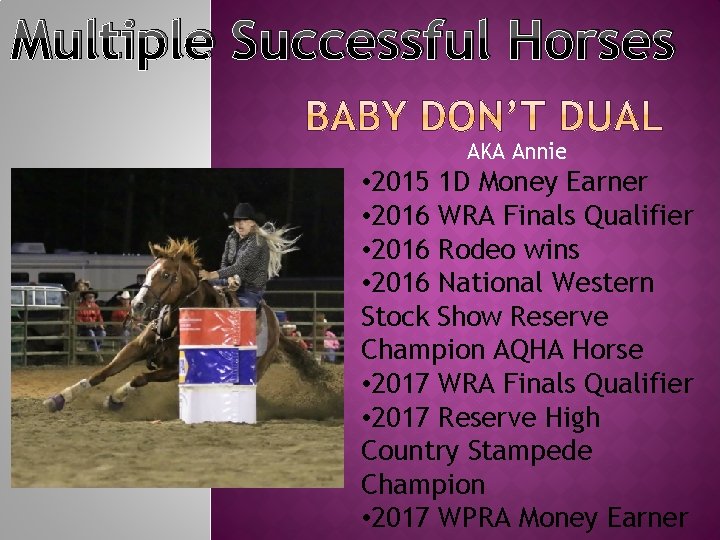 Multiple Successful Horses AKA Annie • 2015 1 D Money Earner • 2016 WRA