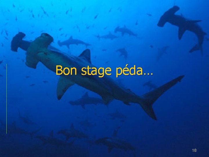 Bon stage péda… 18 