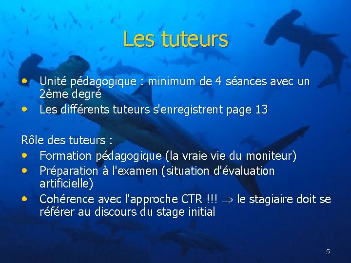 Les tuteurs • Unité pédagogique : minimum de 4 séances avec un • 2ème