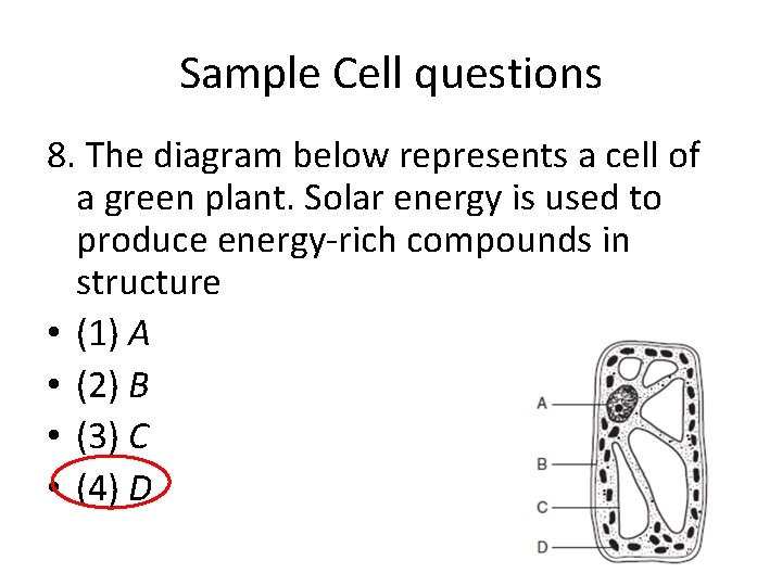 Sample Cell questions 8. The diagram below represents a cell of a green plant.