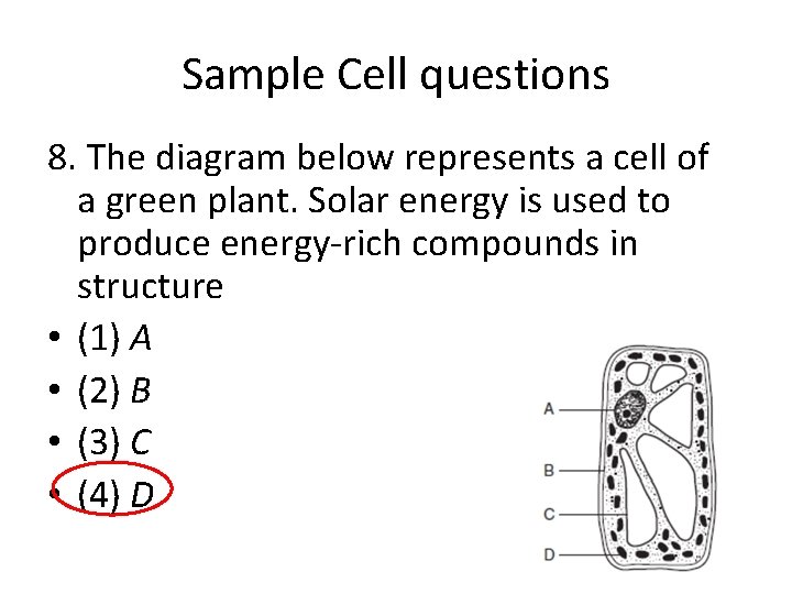 Sample Cell questions 8. The diagram below represents a cell of a green plant. Sample Cell questions 8. The diagram below represents a cell of a green plant.