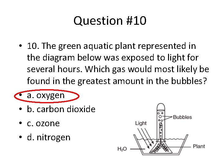 Question #10 • 10. The green aquatic plant represented in the diagram below was
