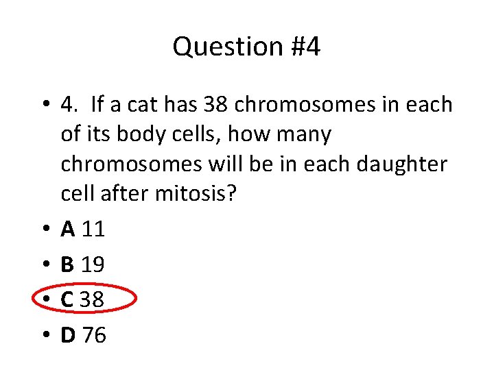 Question #4 • 4. If a cat has 38 chromosomes in each of its