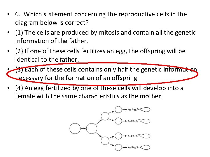  • 6. Which statement concerning the reproductive cells in the diagram below is