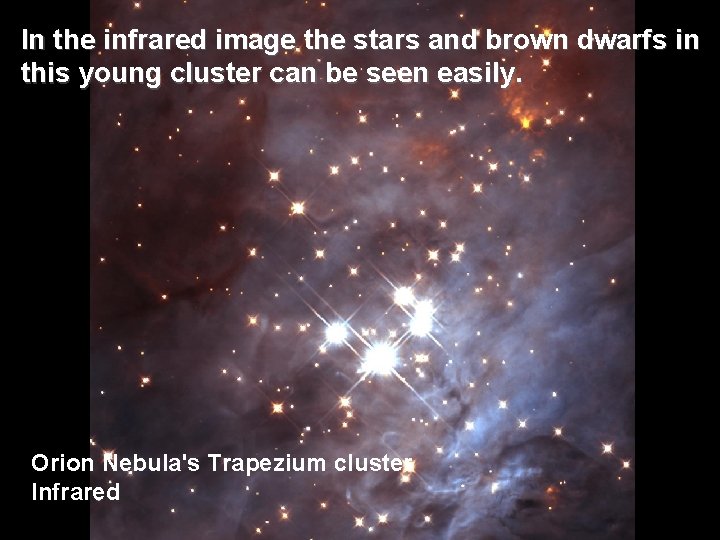 In the infrared image the stars and brown dwarfs in this young cluster can