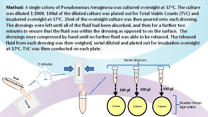 Method: A single colony of Pseudomonas Aeruginosa was cultured overnight at 37 o. C.