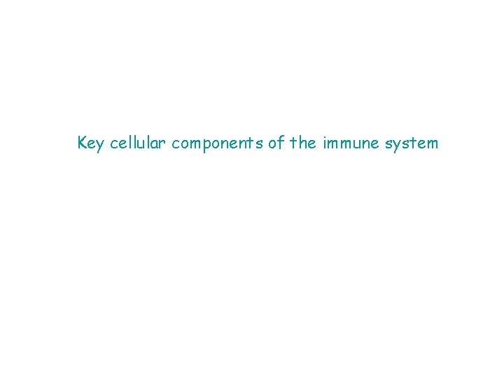 Key cellular components of the immune system 
