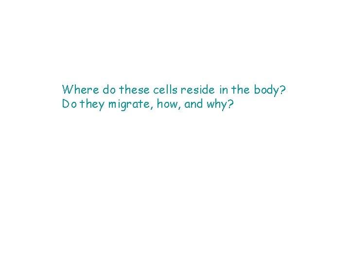 Where do these cells reside in the body? Do they migrate, how, and why?