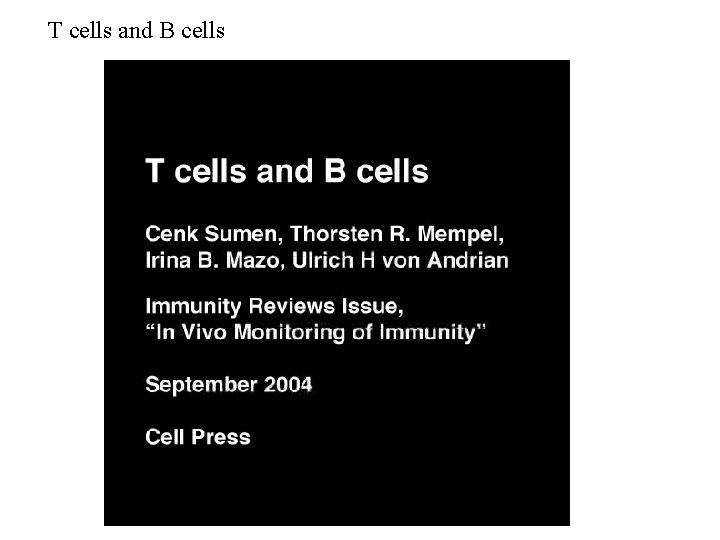 T cells and B cells 