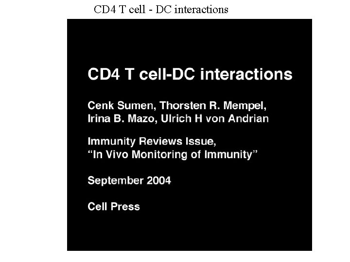 CD 4 T cell - DC interactions 