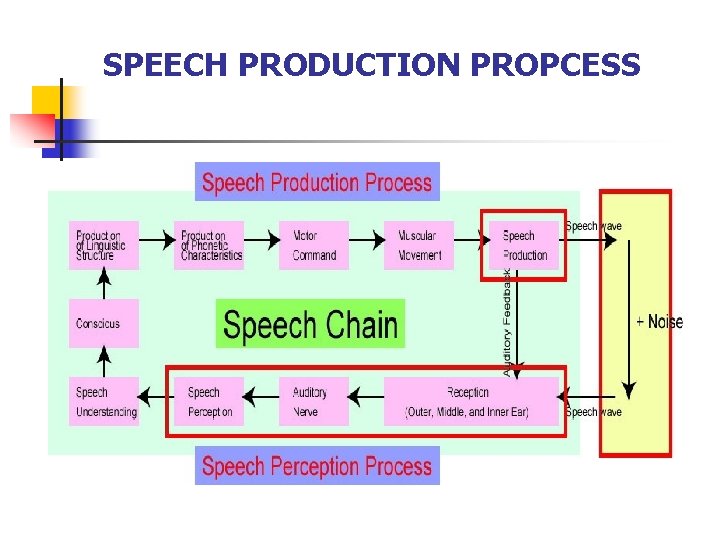 SPEECH PRODUCTION PROPCESS 