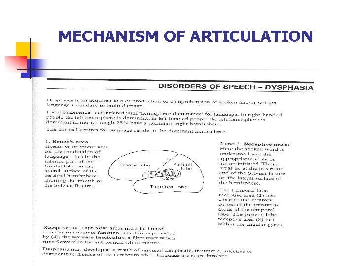 MECHANISM OF ARTICULATION 