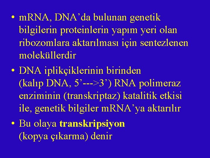  • m. RNA, DNA’da bulunan genetik bilgilerin proteinlerin yapım yeri olan ribozomlara aktarılması
