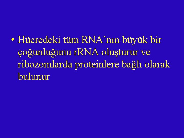  • Hücredeki tüm RNA’nın büyük bir çoğunluğunu r. RNA oluşturur ve ribozomlarda proteinlere