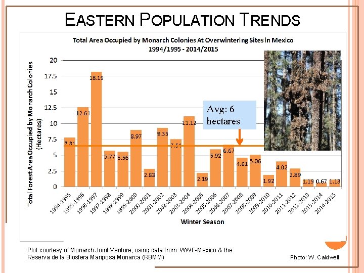 EASTERN POPULATION TRENDS Avg: 6 hectares Plot courtesy of Monarch Joint Venture, using data