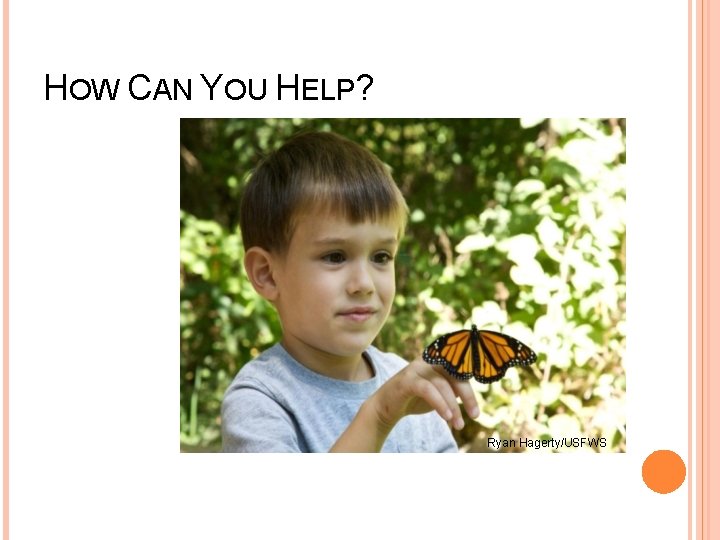 HOW CAN YOU HELP? Ryan Hagerty/USFWS 
