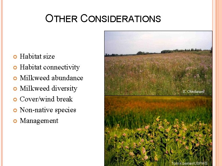 OTHER CONSIDERATIONS Habitat size Habitat connectivity Milkweed abundance Milkweed diversity Cover/wind break Non-native species