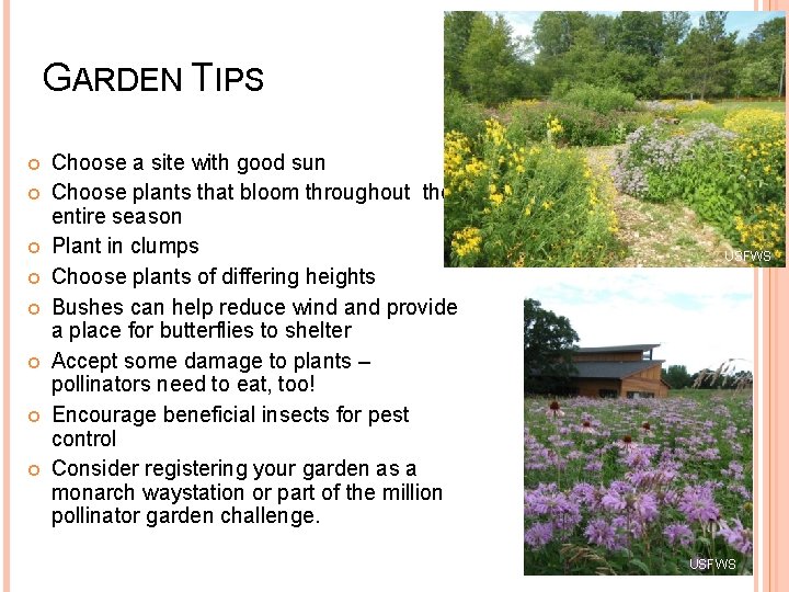 GARDEN TIPS Choose a site with good sun Choose plants that bloom throughout the