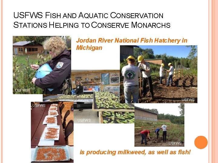 USFWS FISH AND AQUATIC CONSERVATION STATIONS HELPING TO CONSERVE MONARCHS Jordan River National Fish