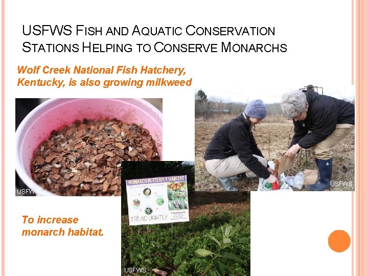 USFWS FISH AND AQUATIC CONSERVATION STATIONS HELPING TO CONSERVE MONARCHS Wolf Creek National Fish