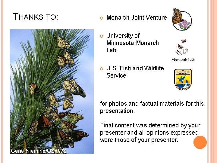 THANKS TO: Monarch Joint Venture University of Minnesota Monarch Lab U. S. Fish and