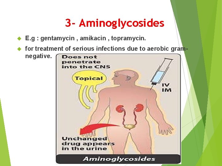 3 - Aminoglycosides E. g : gentamycin , amikacin , topramycin. for treatment of