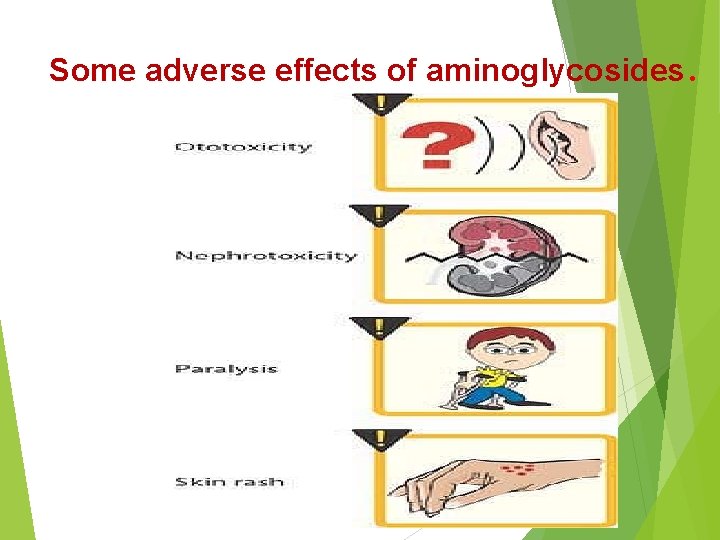 Some adverse effects of aminoglycosides. 