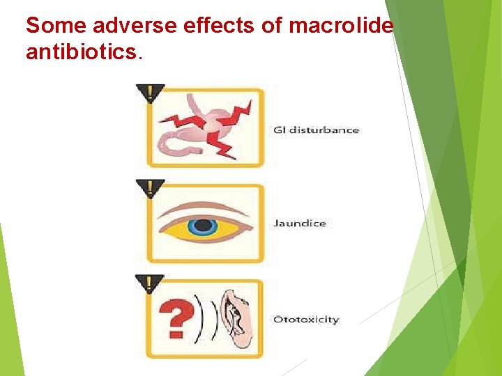 Some adverse effects of macrolide antibiotics. 