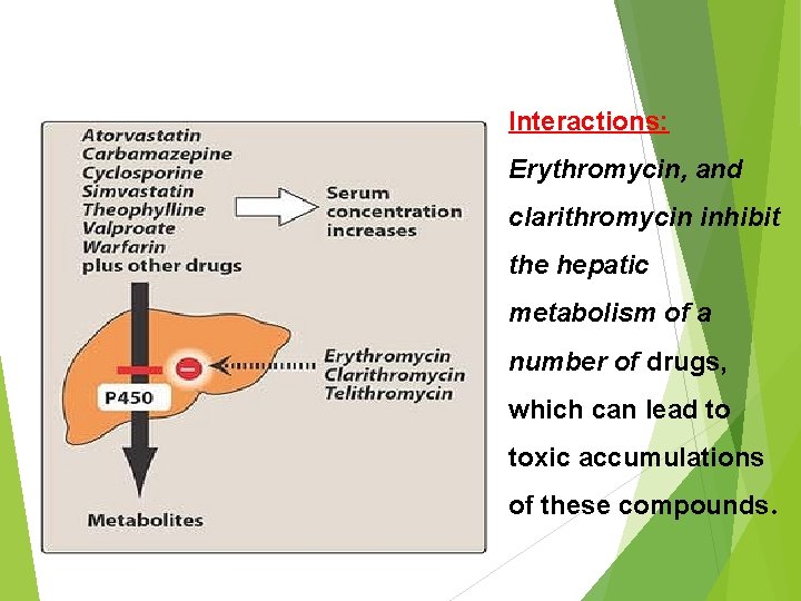 Interactions: Erythromycin, and clarithromycin inhibit the hepatic metabolism of a number of drugs, which