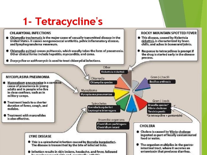 1 - Tetracycline's 