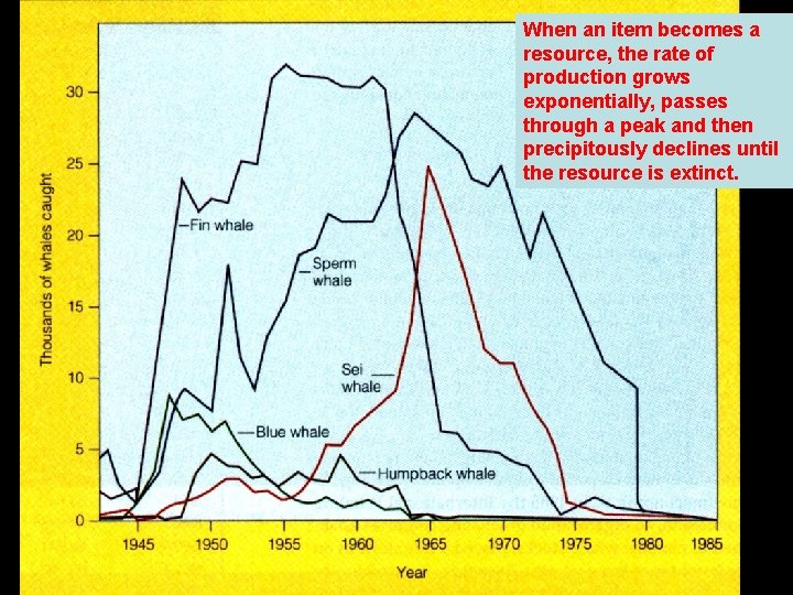 When an item becomes a resource, the rate of production grows exponentially, passes through