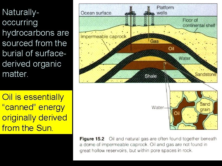 Naturallyoccurring hydrocarbons are sourced from the burial of surfacederived organic matter. Oil is essentially